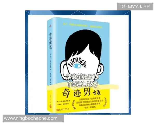 与陈娜对话探讨她的足球生涯与成长历程的精彩故事